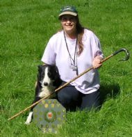 Surprisingly, Del won Gargrave Show sheepdog trials, he did not used to excel on small courses with flighty sheep but he did this time 